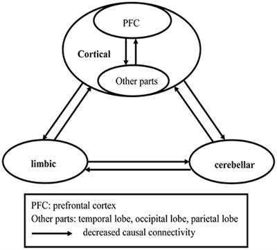 Bidirectional Causal Connectivity in the Cortico-Limbic-Cerebellar Circuit Related to Structural Alterations in First-Episode, Drug-Naive Somatization Disorder